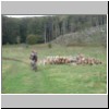 Orsomarso_24.jpg