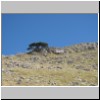 MPollino_004.jpg
