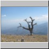 MPollino_017.jpg