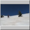 Pollino_18.jpg