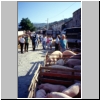 Pollintrek1991_065.jpg